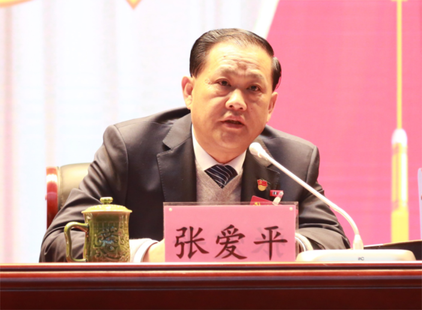 张爱平同志宣读中共万象城在线第一届党委成员分工及纪委成员分工
